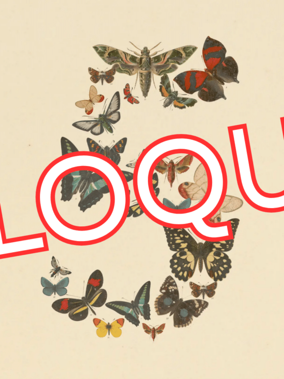Illustration montrant un grand chiffre 5 formé de papillons rétro, barré en biais par l'inscription rouge « BLOQUÉ » avec le logo DCOD. Ce visuel accompagne l'information majeure : Fable 5 et Mythos 5 suspendus, coupant ainsi l'accès mondial à ces technologies.