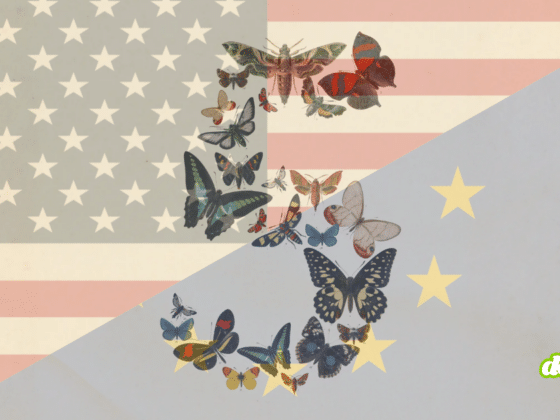 DCOD Anthropic bloque par les Etats Unis La souverainete numerique remise au coeur des debats