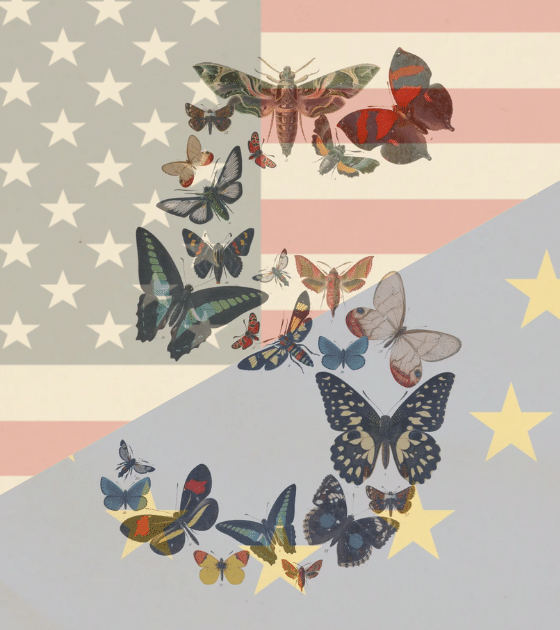 DCOD Anthropic bloque par les Etats Unis La souverainete numerique remise au coeur des debats