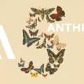 Une image illustrative de DCOD montrant, sur un fond beige, le mot "AI" en grandes lettres blanches à gauche, et le texte "ANTHROPC" à droite. Au centre, une composition stylisée en forme de grand chiffre 5 est formée de nombreux papillons et insectes colorés, illustrant visuellement Claude Fable 5, dont l'interprétation par l'IA d'Anthropic déconcerte et exaspère les experts de la cybersécurité. Le logo "dcod.ch" apparaît en bas à droite.