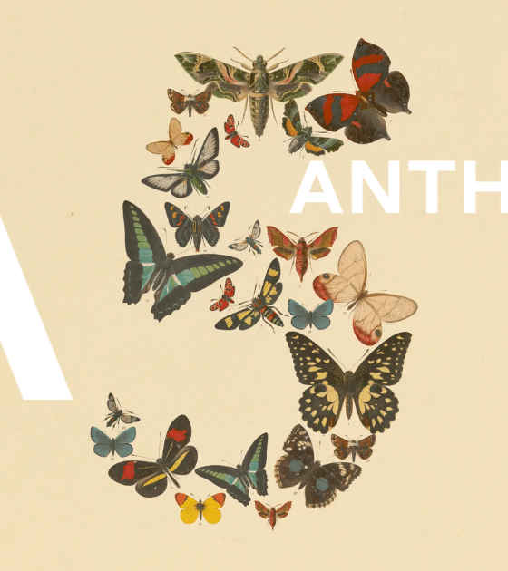 Une image illustrative de DCOD montrant, sur un fond beige, le mot "AI" en grandes lettres blanches à gauche, et le texte "ANTHROPC" à droite. Au centre, une composition stylisée en forme de grand chiffre 5 est formée de nombreux papillons et insectes colorés, illustrant visuellement Claude Fable 5, dont l'interprétation par l'IA d'Anthropic déconcerte et exaspère les experts de la cybersécurité. Le logo "dcod.ch" apparaît en bas à droite.