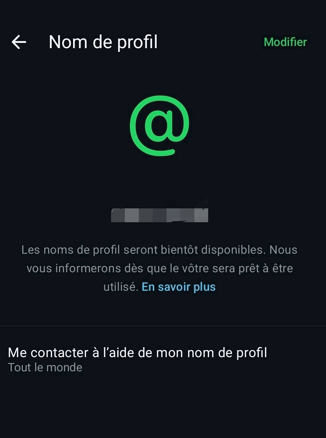 Capture d'écran de l'interface d'attente de WhatsApp présentant un grand symbole arobase vert avec un message annonçant la disponibilité prochaine des noms de profil.