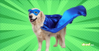 Chien en costume de super-héros illustrant les faux positifs d'iMessage et de l'IA avant Chat Control.