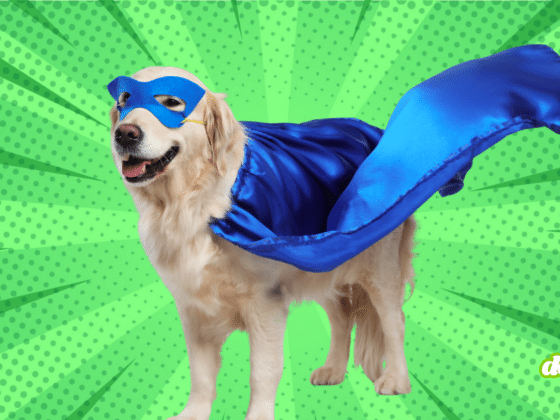 Chien en costume de super-héros illustrant les faux positifs d'iMessage et de l'IA avant Chat Control.