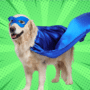 Chien en costume de super-héros illustrant les faux positifs d'iMessage et de l'IA avant Chat Control.