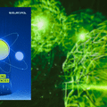 Visuel DCOD illustrant le rapport d'Europol « Quantum Computing and Cryptocurrencies », montrant la couverture officielle sur un fond abstrait de réseau numérique vert. Crédit : Europol / DCOD.